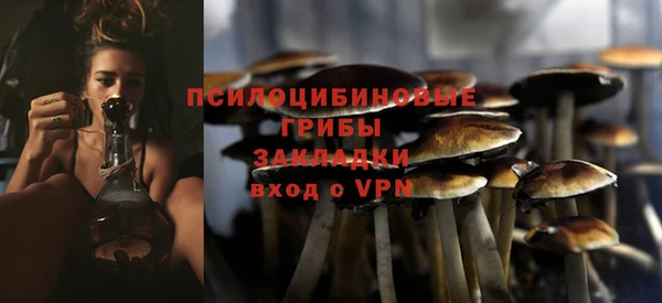 мяу мяу мука Белокуриха
