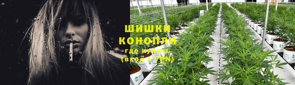 амф Балахна